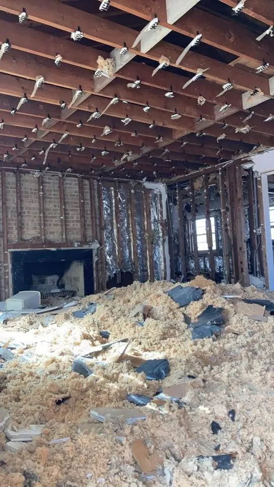 Ceiling pulled down leaving blown insulation piled across the floor