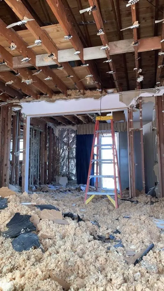 Ceiling joists exposed above a stepladder with insulation debris underfoot