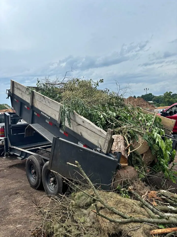 Dump trailer tipping a load of branches and logs