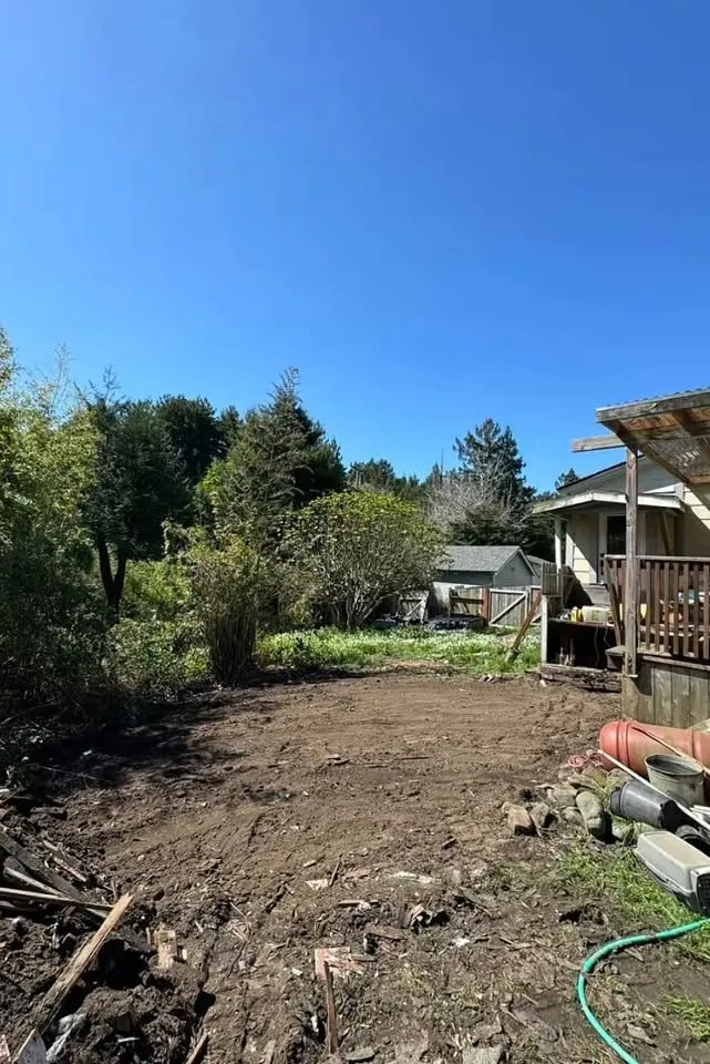 Backyard cleared to bare soil with mature trees left standing along the edge