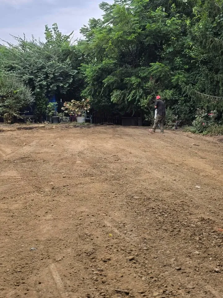 Cleared and levelled lot with a line of mature trees kept along the edge